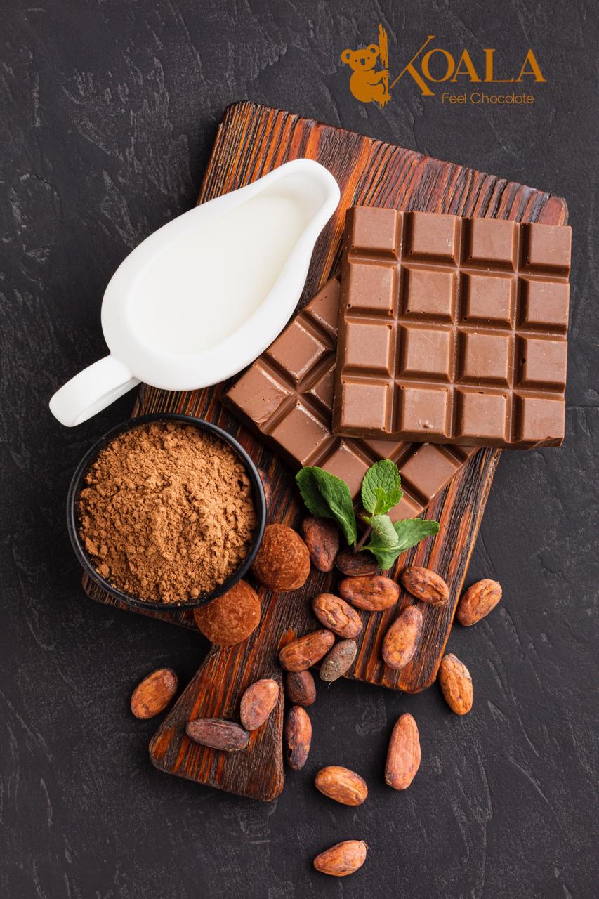 Chocolate Collection 1